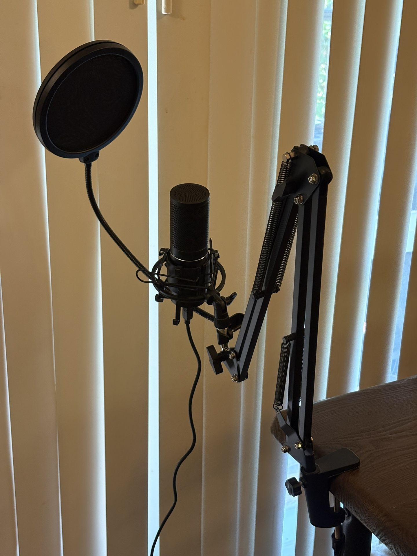 Condenser Microphone (Tonor Q9)