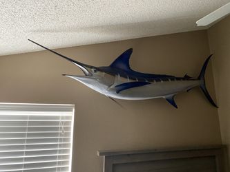 8 foot Striped Marlin taxidermy fish!