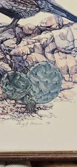 Framed wall art pring J. DIXON 1979 GAMBELS QUAIL