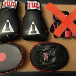 Boxing Gloves + Focus Pads