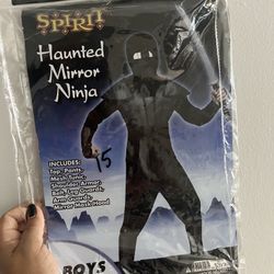 Haunted Mirror Ninja