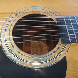 12 Strong Aria Guitar