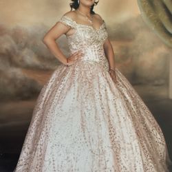 Quinceañera dress Size XL Corset In the back Pink With Rose Gold $300 .My Daughter is a Size  M  the Dress  fits  her Perfectly