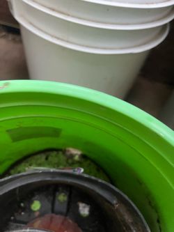 Plastic Planters Buckets Containers