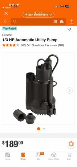 Everbilt 1/3 HP Automatic Utility Pump