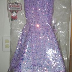 Size 5 Princess Dress 