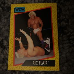 Ric Flair    WCW