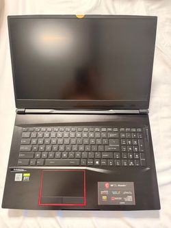MSI GE75 Raider Gaming Laptop