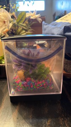 Betta Fish tank