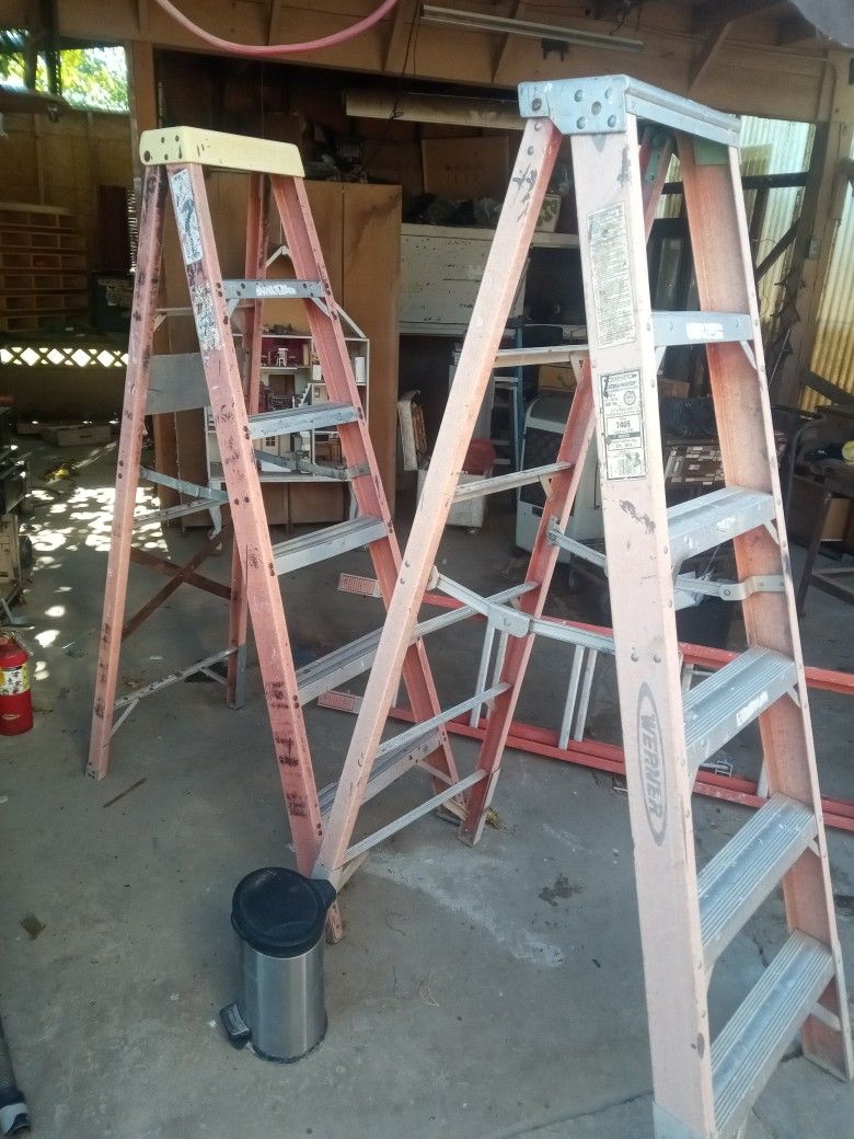 Warner 8ft Ladders