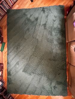 6’x9’ Shaggy Green Rug