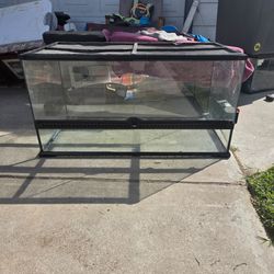 50 gallon Exo Terra Terrarium!