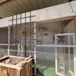 Aviary