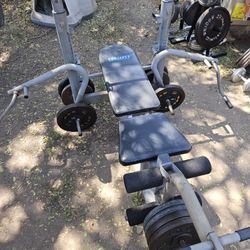 Heavy Duty Olympic Weight Bench No Weights 