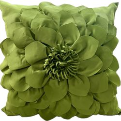 Like New Green Indoor/Outdoor 20” Decorative Throw Pillow