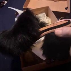 New Fluffy UGG Shoes Plus Pants