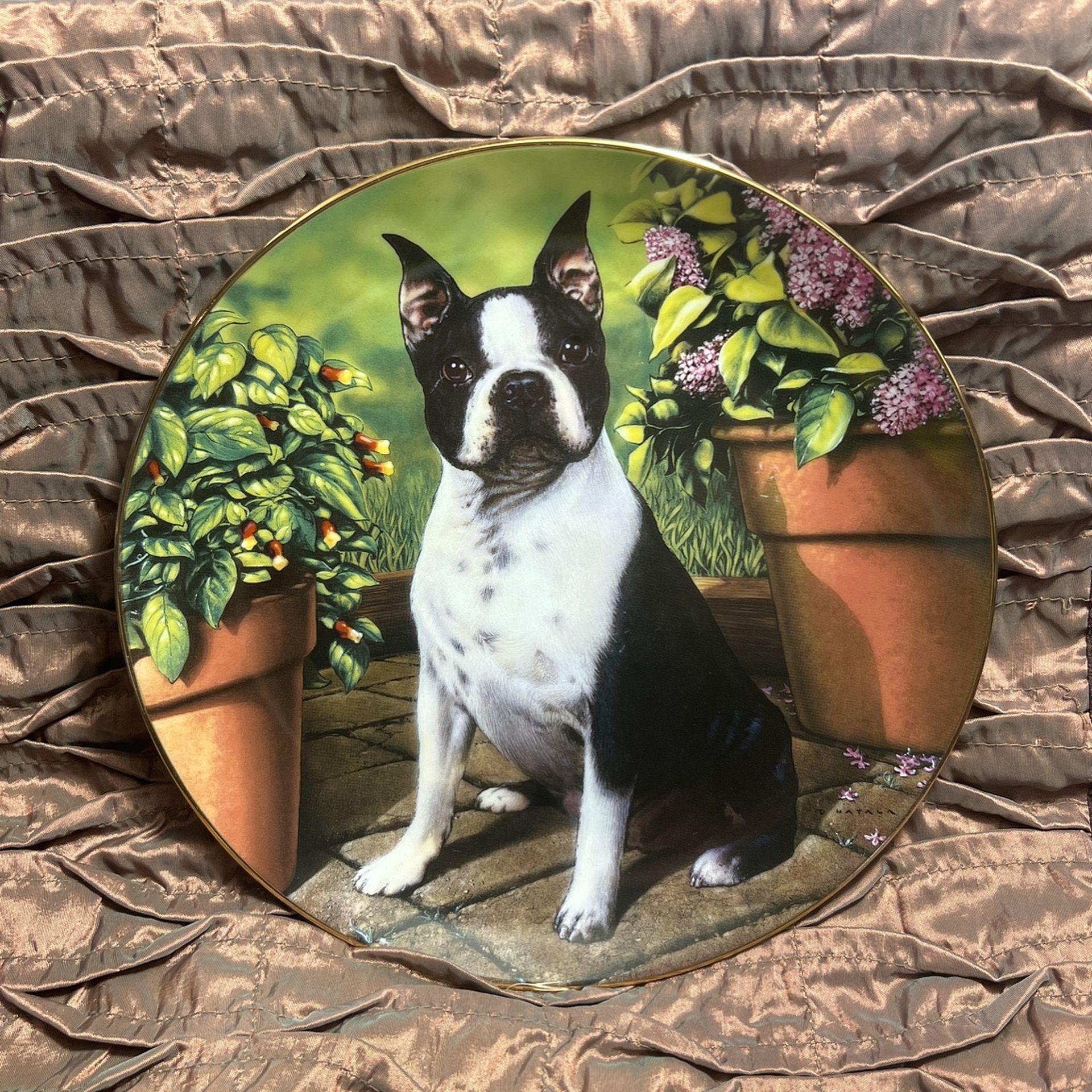Boston Terrier Plate