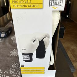 Training Gloves MMA Boxing