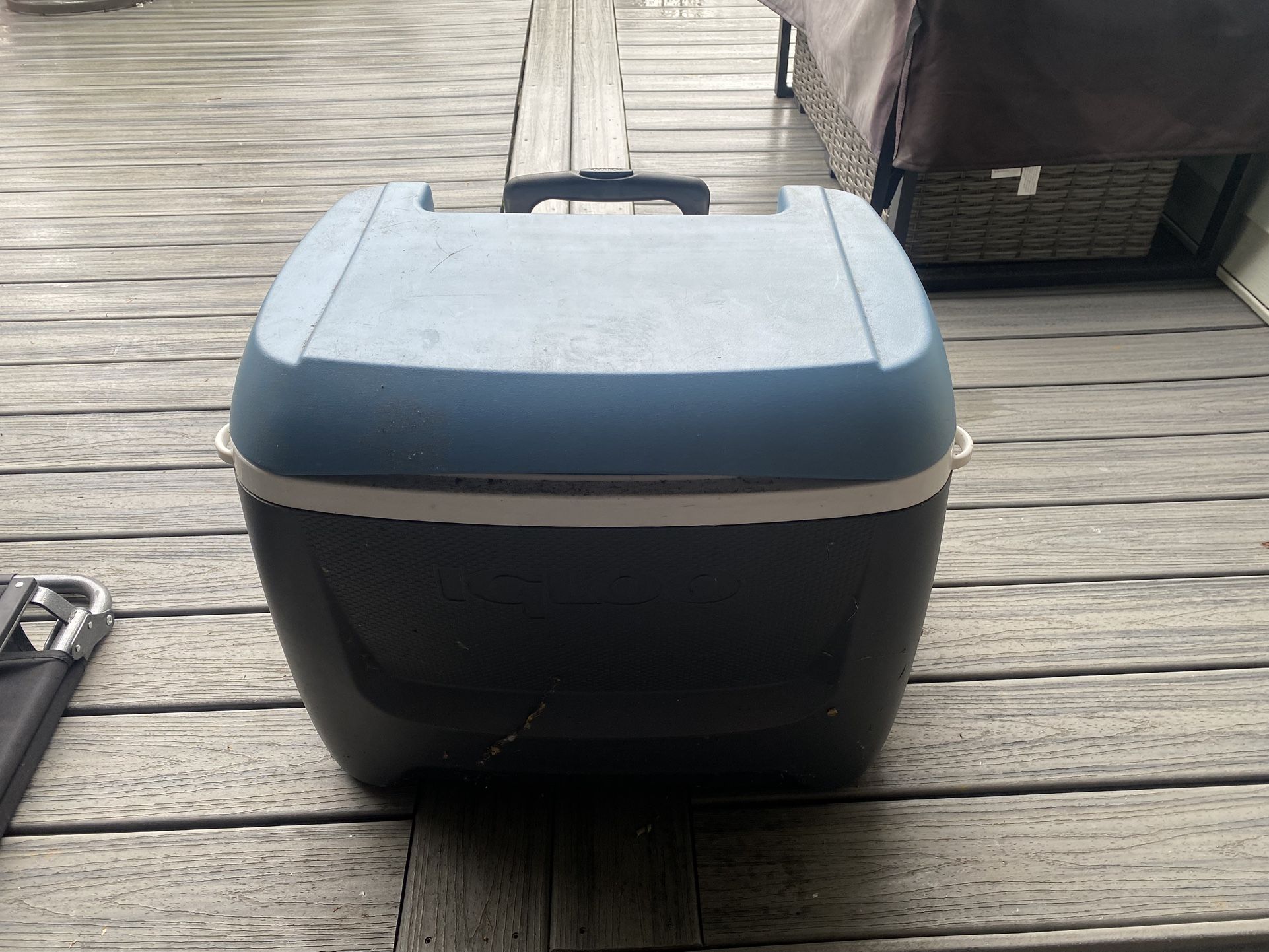 Igloo hard side cooler
