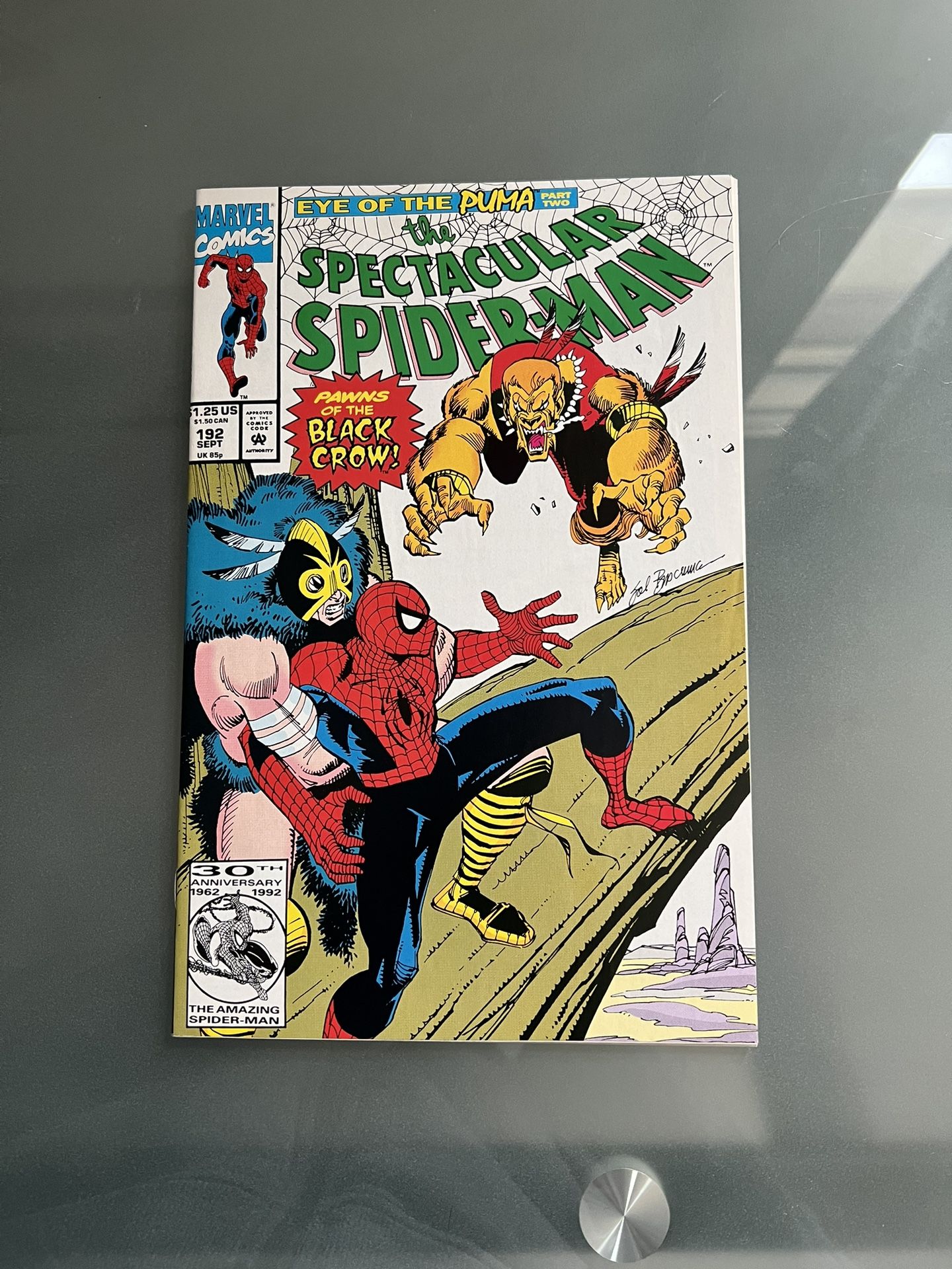 Spectacular Spider-Man #192