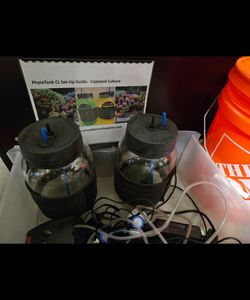Phytotank cope pod and phytoplankton reactors