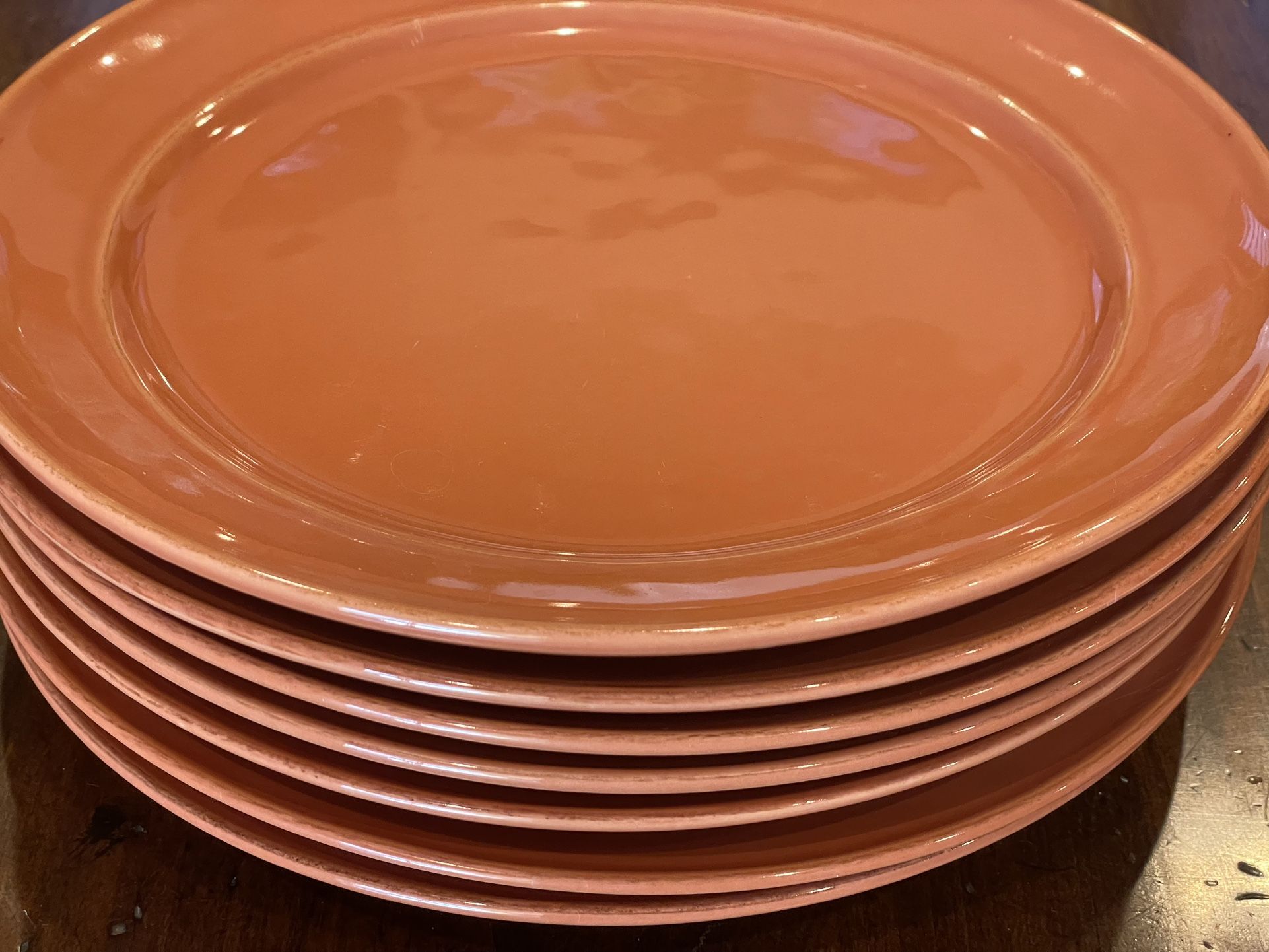 POTTERY BARN Cambria Thanks Giving Dishes 11 1/2” Terracotta- Fall