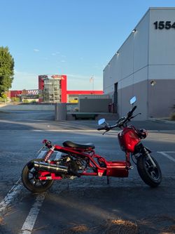 Honda ruckus / Maddog Icebear 50cc