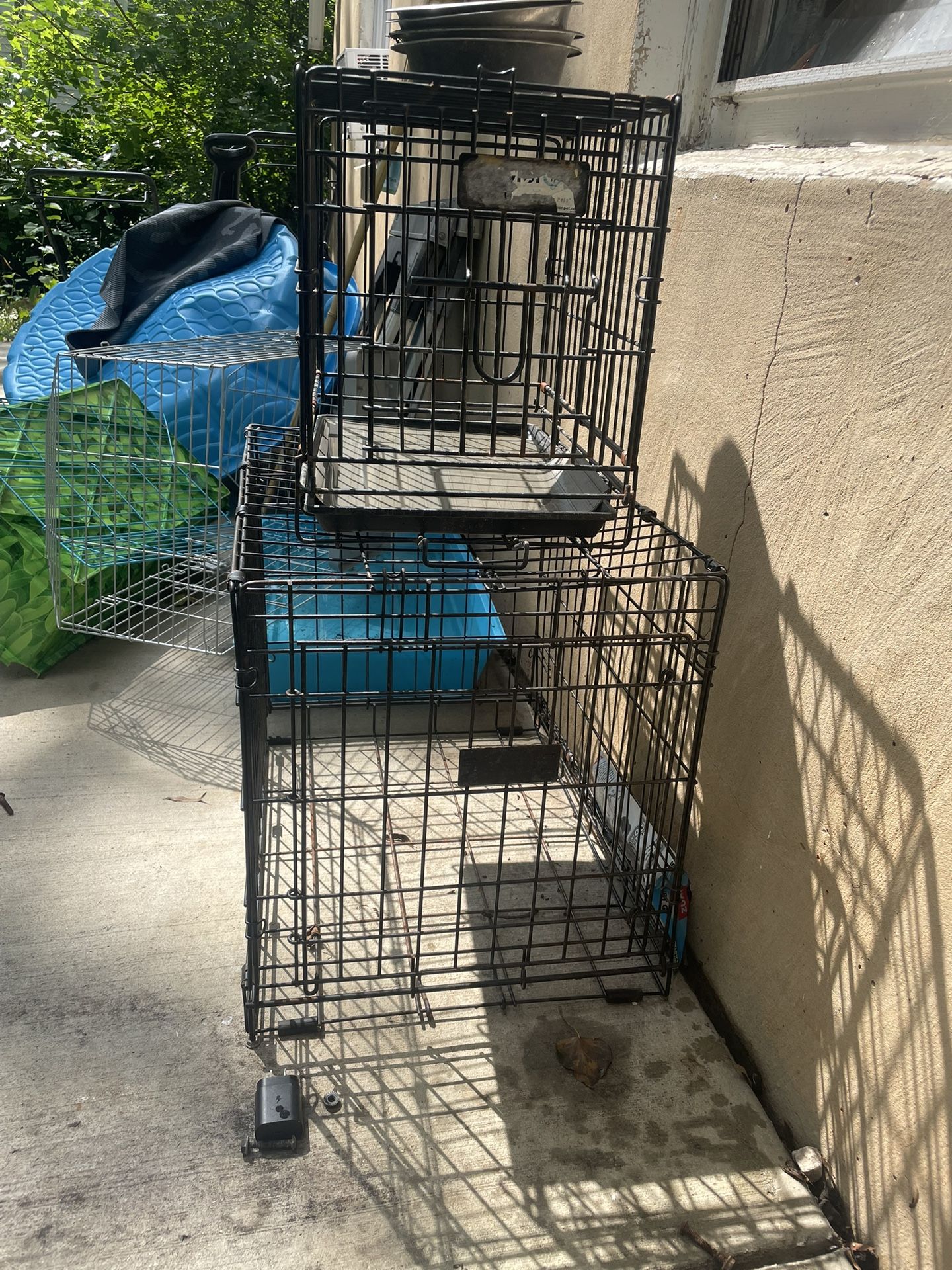 Dog Cages