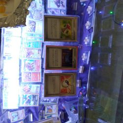 1st Edition Trainers