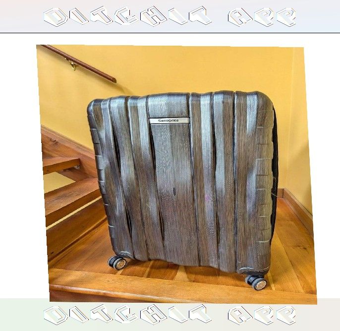 Go Anywhere Luggage Checked Bags That Handle Everything land happy