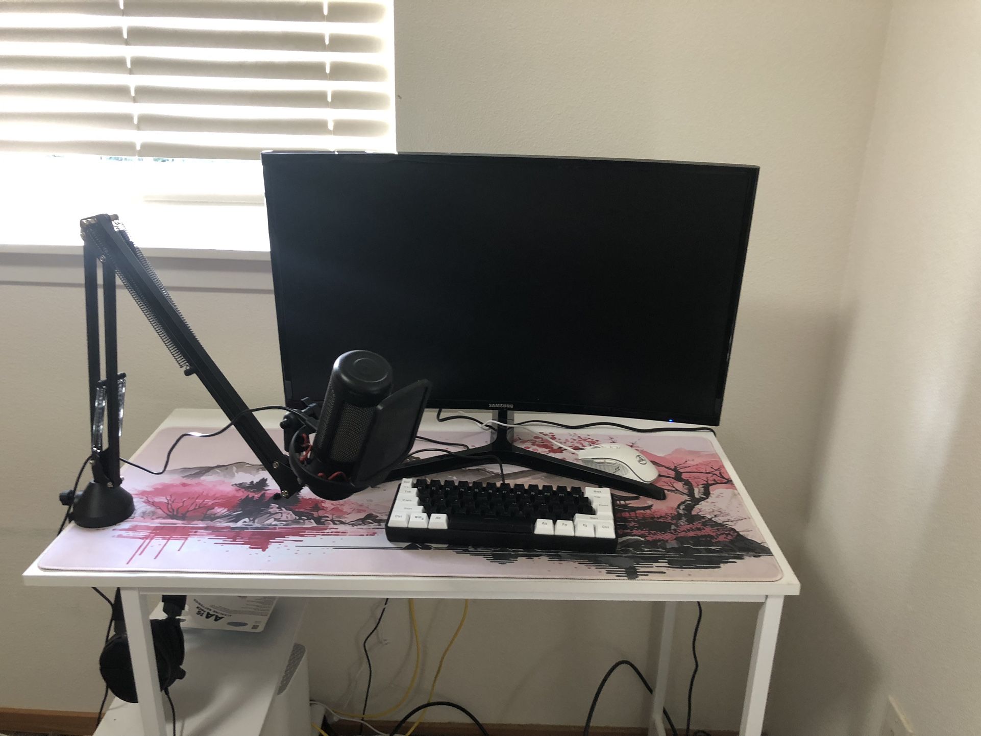 Gaming Setup And Monitor