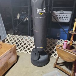 Everlast Punching Bag