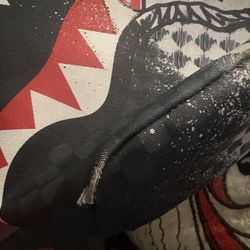 Sprayground backpack