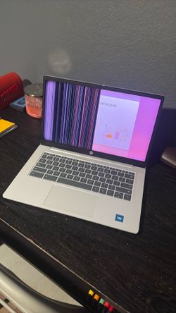HP Chromebook 14-inch (Working Motherboard / Broken Screen)