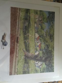 Charles Peterson "Diamond in the Rough" Limited Edition Signed #206/2600