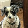 Maggie