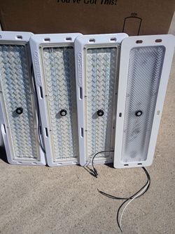 (4). 12 Volt LED Cargo lamps
