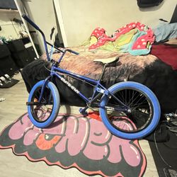 Elite BMX bike
