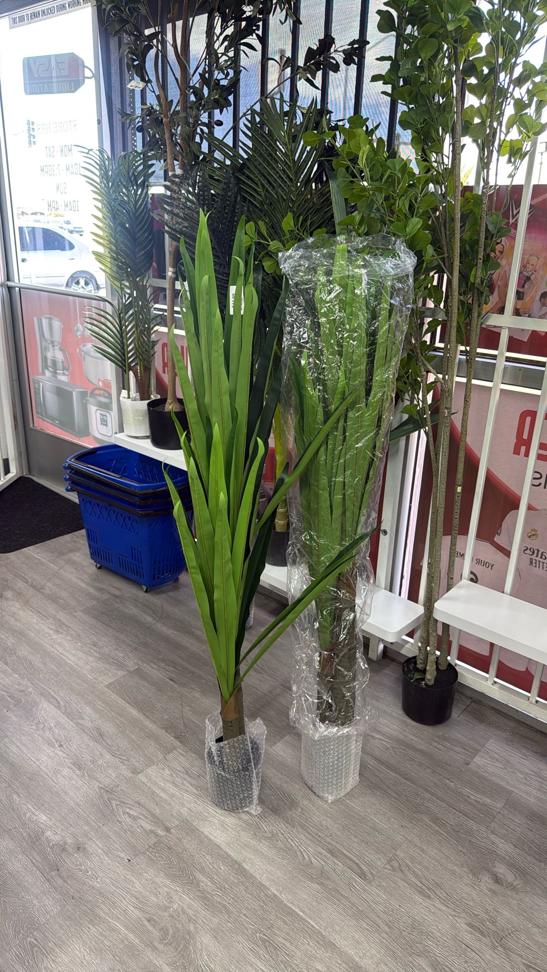 Haihong palm 4 feet 2pcs