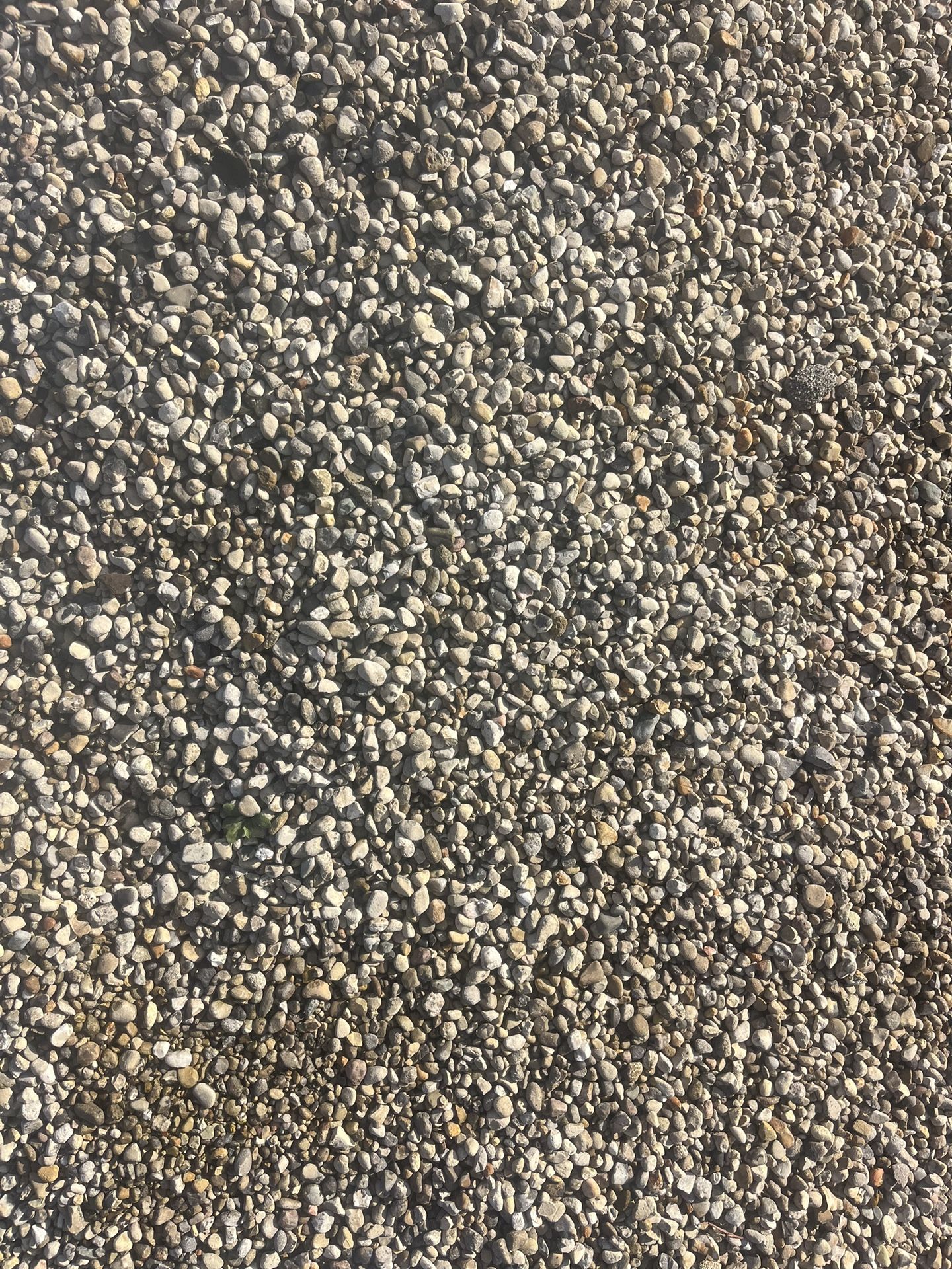 Pea Gravel Little Dirty