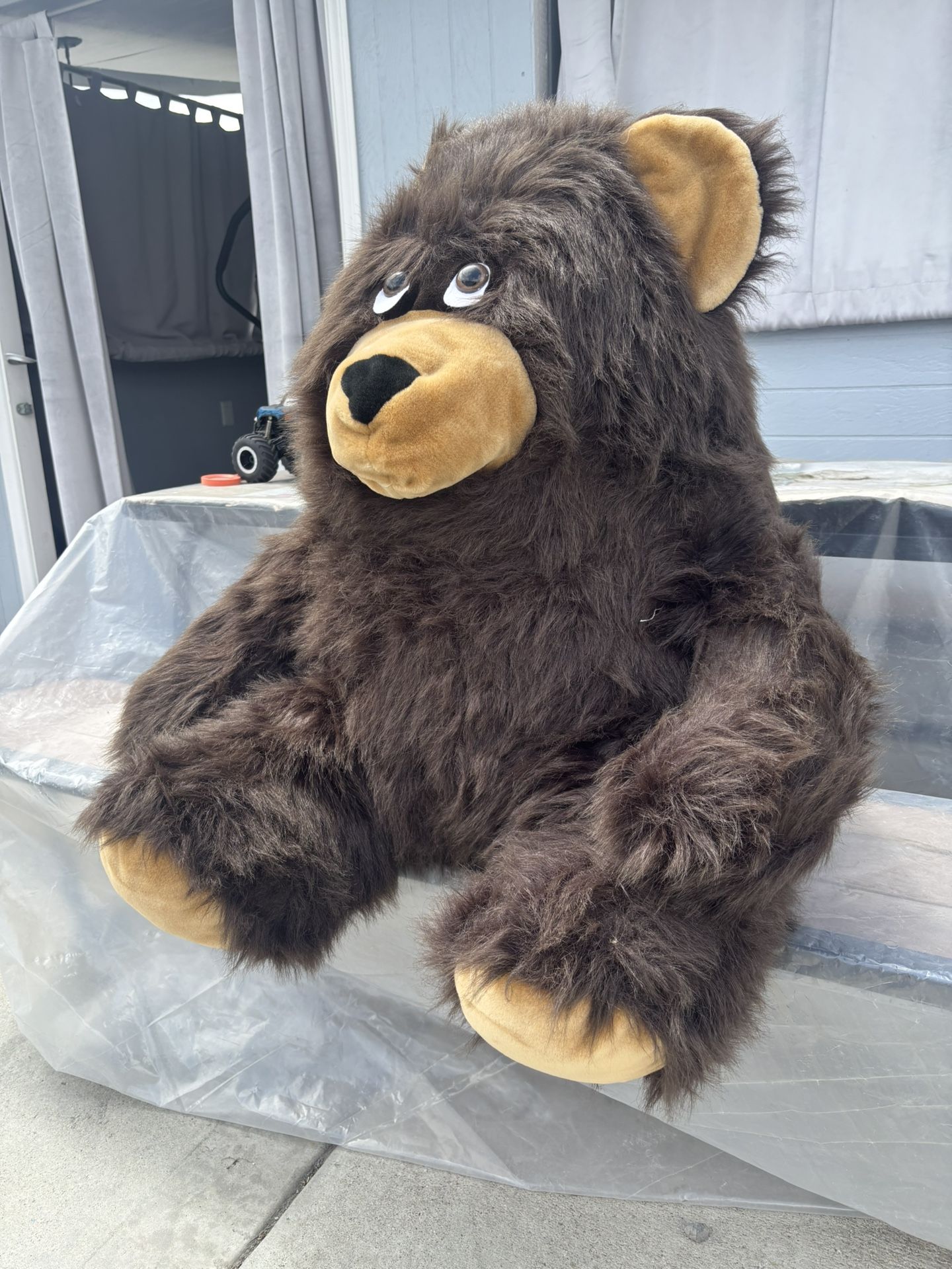 Teddy Bear