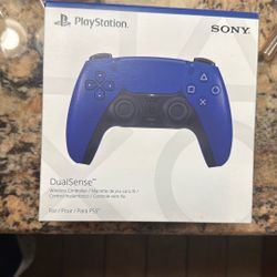Ps 5 Controller