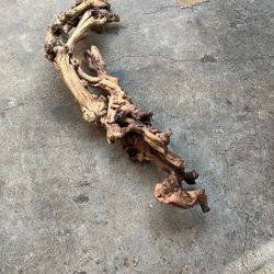 Drift Wood 4 Feet Long Cat Tree Snakes Lizard 