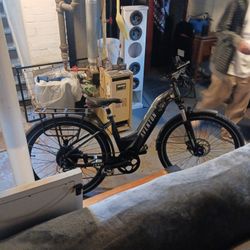 Electric Bike 800