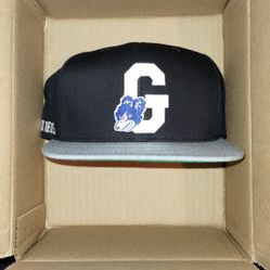 Grizzly Official Snapback 