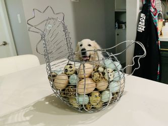 Farm Fresh Organic Free-Range Quail Eggs