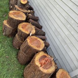Free firewood