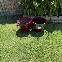 Burgundy Plant Vases