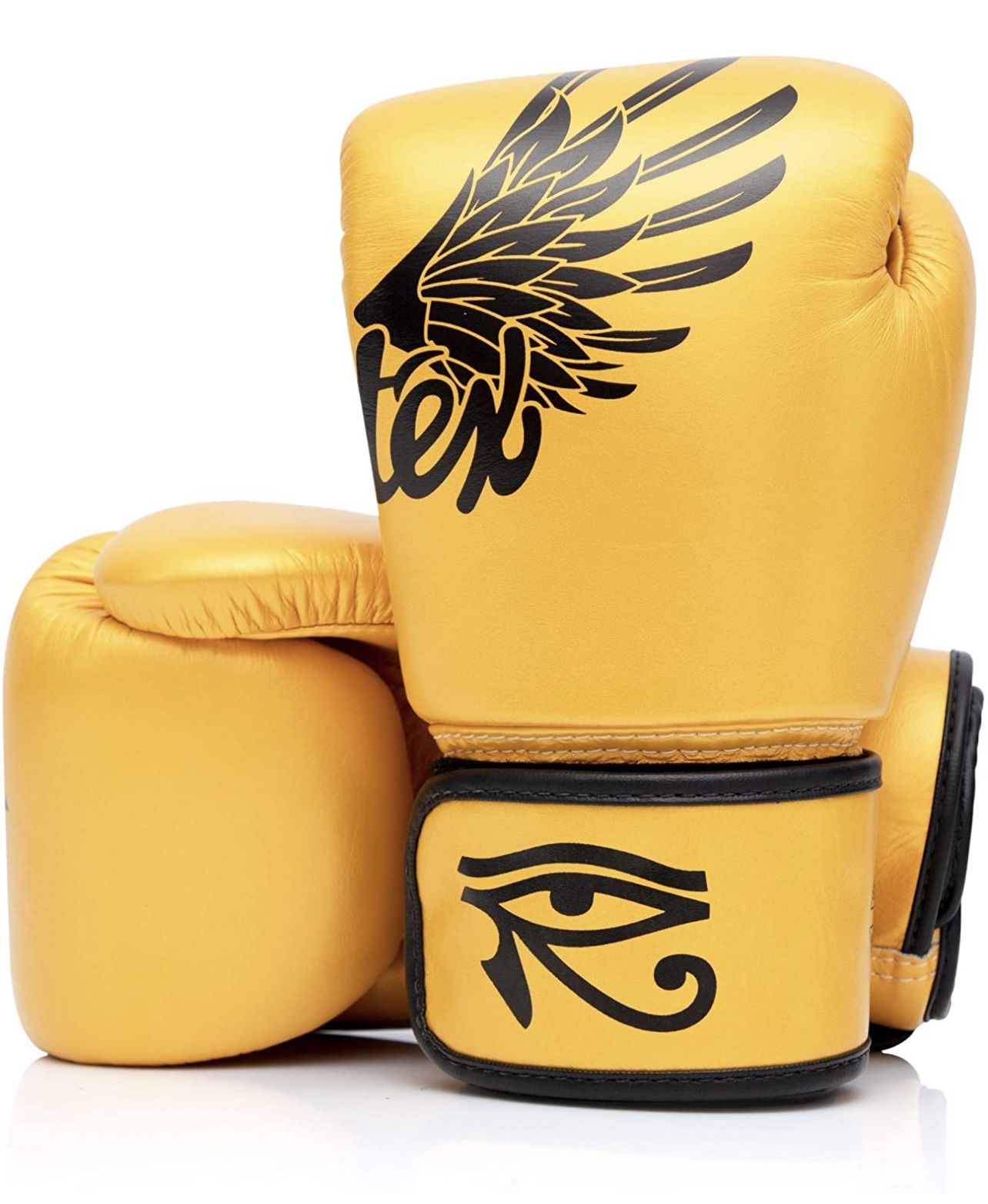 Fairtex BGV1 Muay Thai Boxing Training Sparring Gloves - 10 Oz.