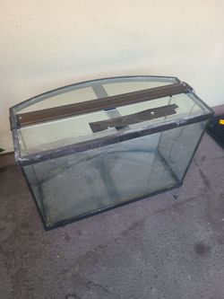 Fish tank 🐟